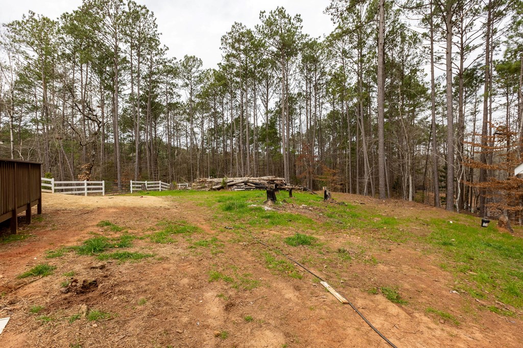 1424 Martin Road Hamilton, GA 31811 - Photo 28 of 35 Gallery Image 28