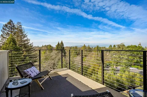 a view of a garden with plants and trees