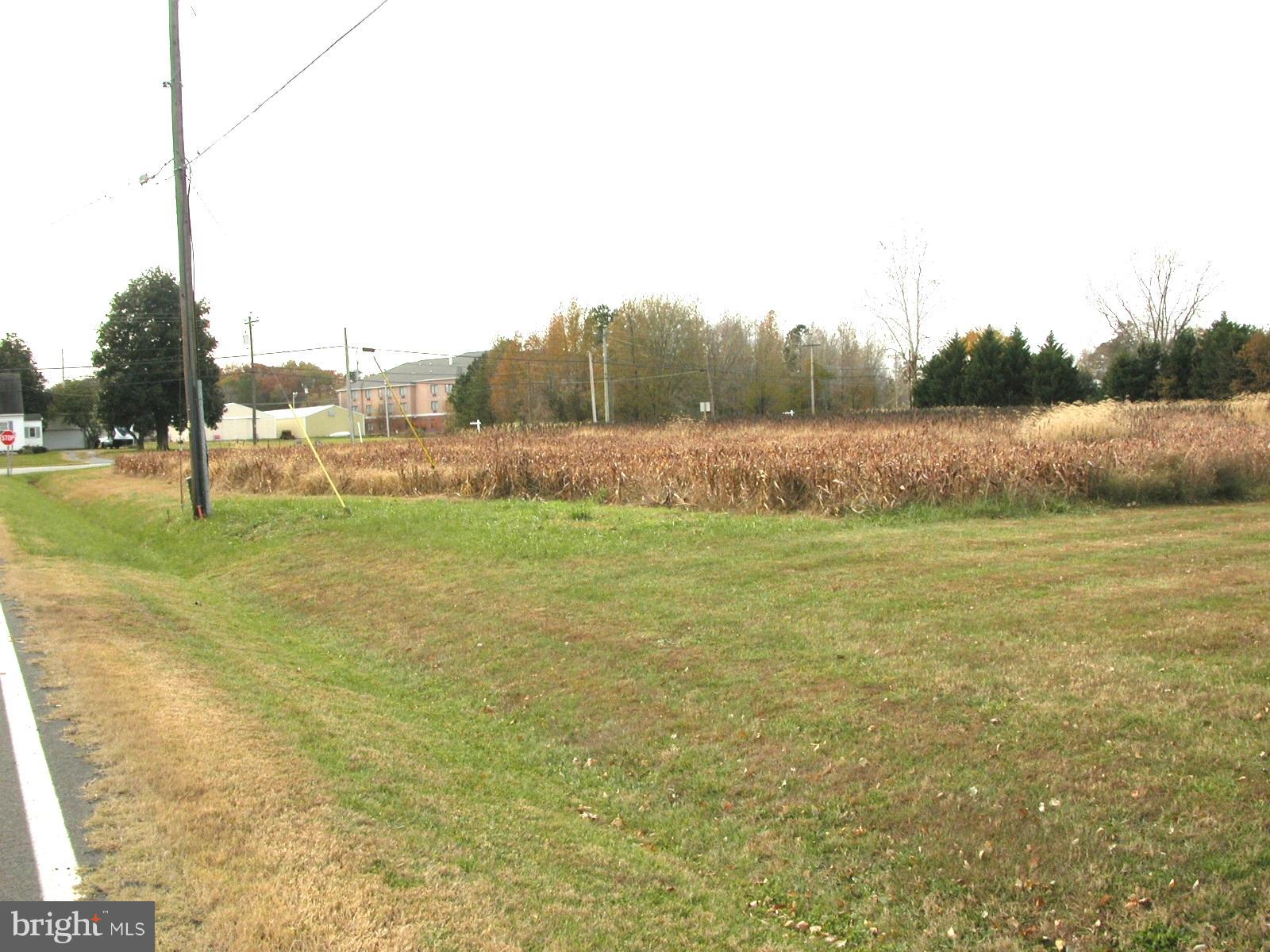 50 Old Rt Cambridge, MD 21613 - Photo 3 of 6 Taken from Handley Rd... Looking toward the corner