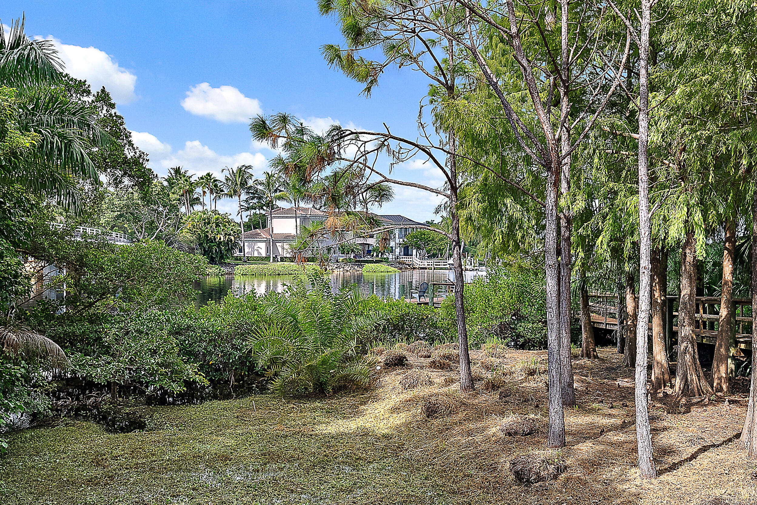 18706 Southeast St Augustine Way Jupiter, FL 33469 - Photo 73 of 74 a view of a garden