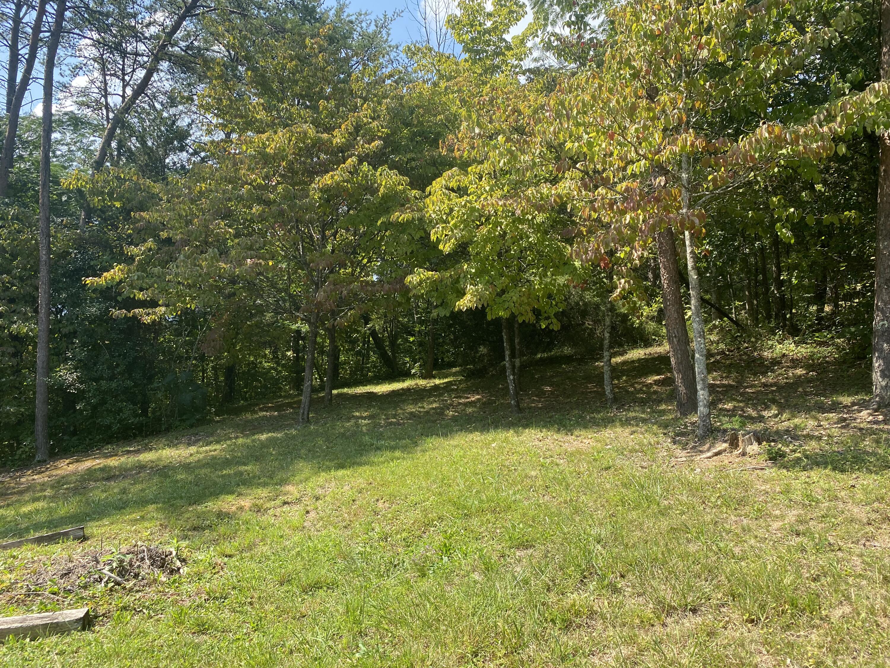 520 Whites School Road Sevierville, TN 37876 - Photo 14 of 33 520 Whites School Rd