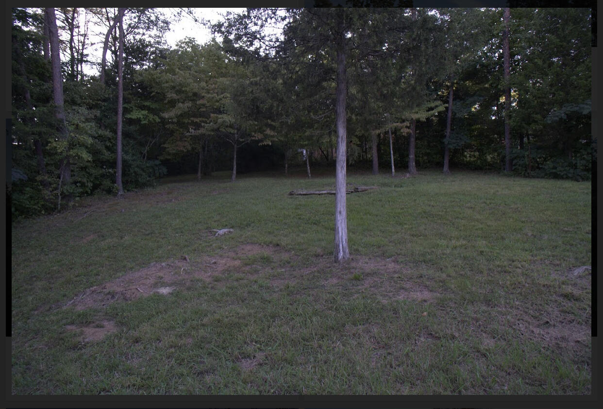520 Whites School Road Sevierville, TN 37876 - Photo 22 of 33 520 Whites School Rd