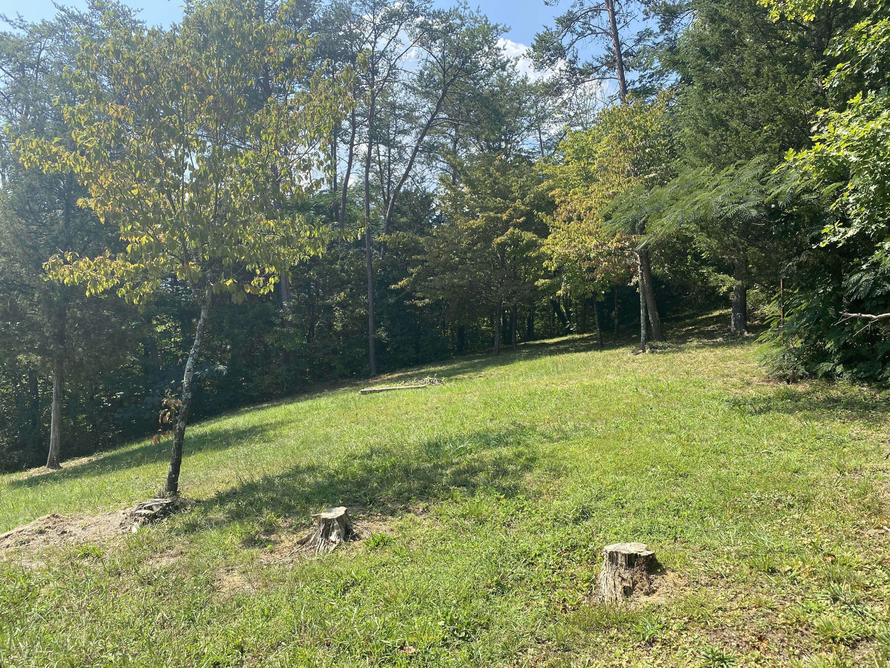 520 Whites School Road Sevierville, TN 37876 - Photo 10 of 33 520 Whites School Rd