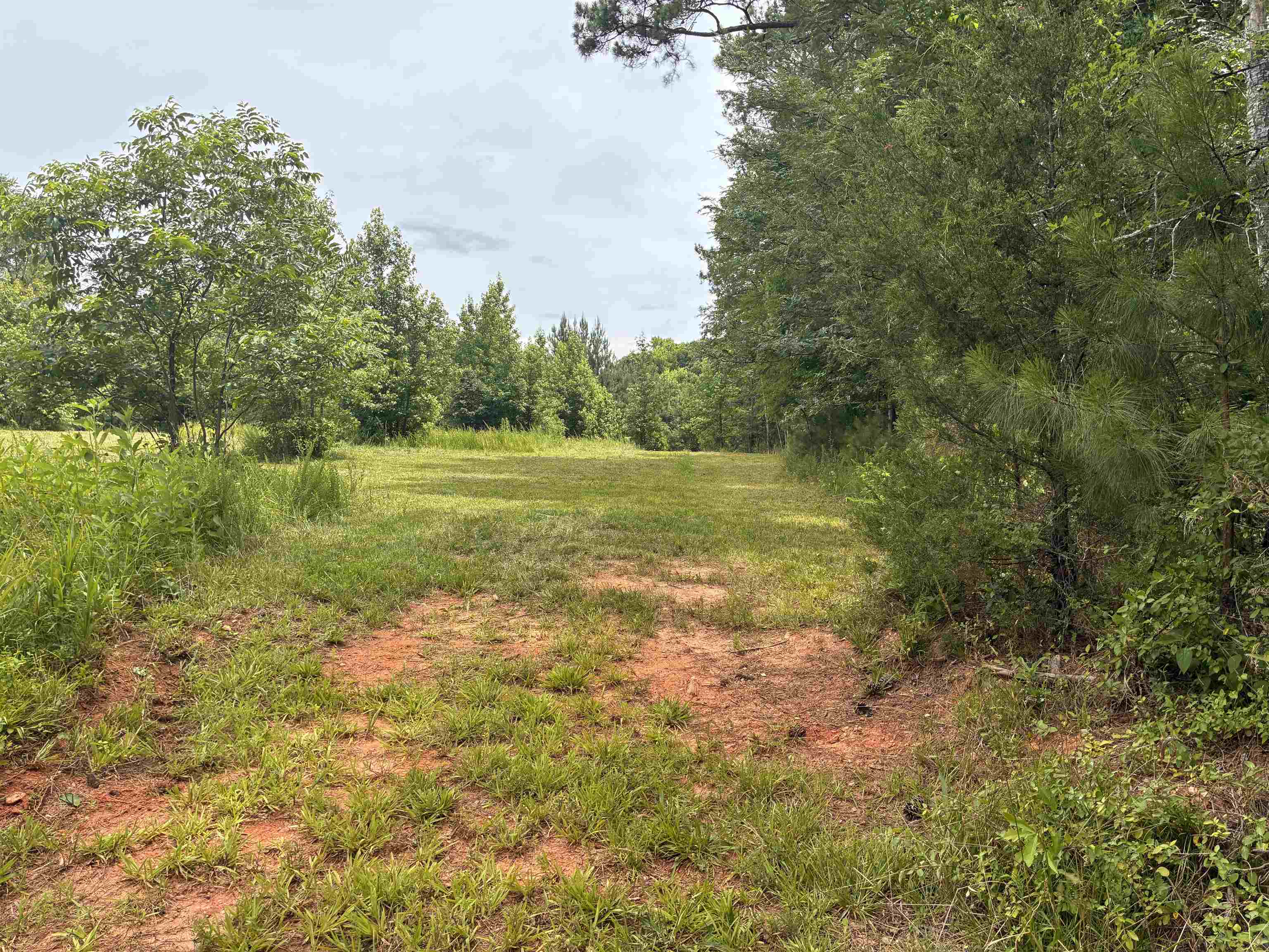 Lot 2 State Rd S-11-54 Gaffney, SC 29340 - Photo 5 of 13