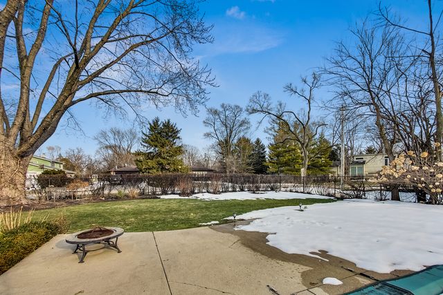a view of a yard with a tree