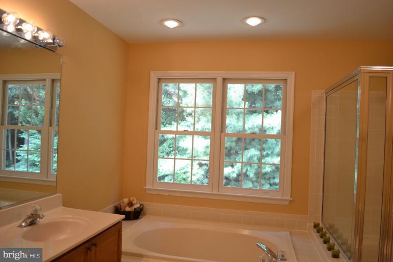 8123 Ridge Creek Way Springfield, VA 22153 - Photo 19 of 20 Bath (Master)