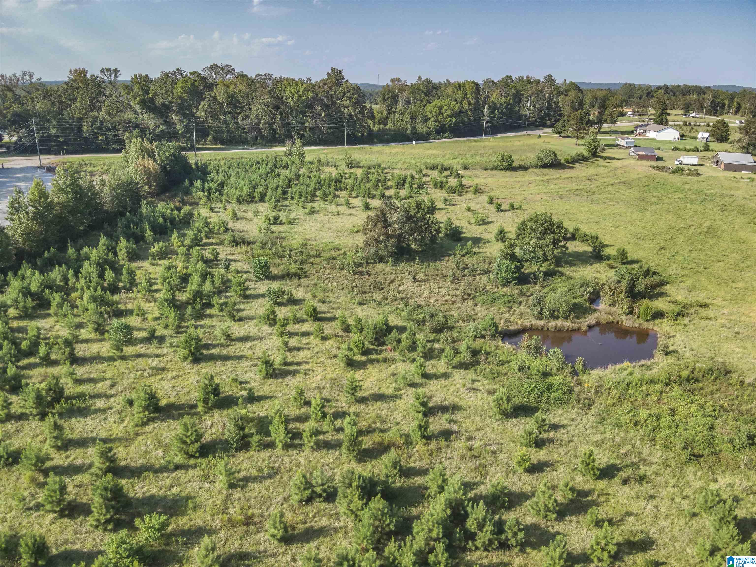 0 New Harmony Road, Unit 35 ACRES / Clanton, AL 35045 - Photo 7 of 21