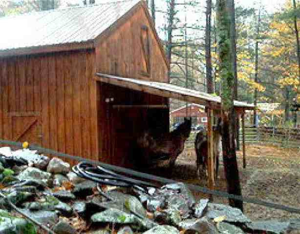 549 Lake Mills Road Cairo, NY 12413 - Photo 3 of 4 Photo 3