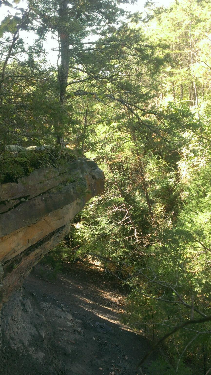 1140 Highgate Point, Unit 10 Soddy Daisy, TN 37379 - Photo 16 of 16 15