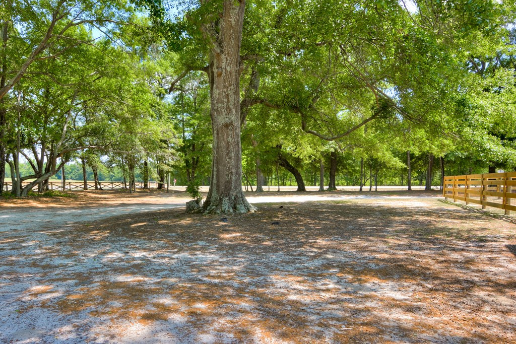 465 Beaver Dam Road Aiken, SC 29805 - Photo 8 of 44