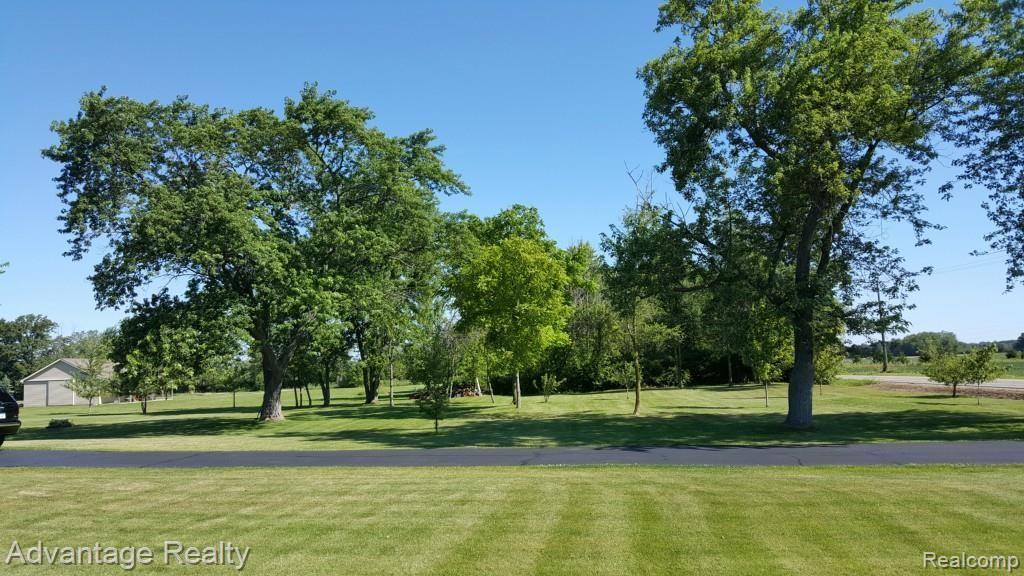 1079 Riley Center Road Memphis, MI 48041 - Photo 14 of 21 Riley Center - Yard.jpg