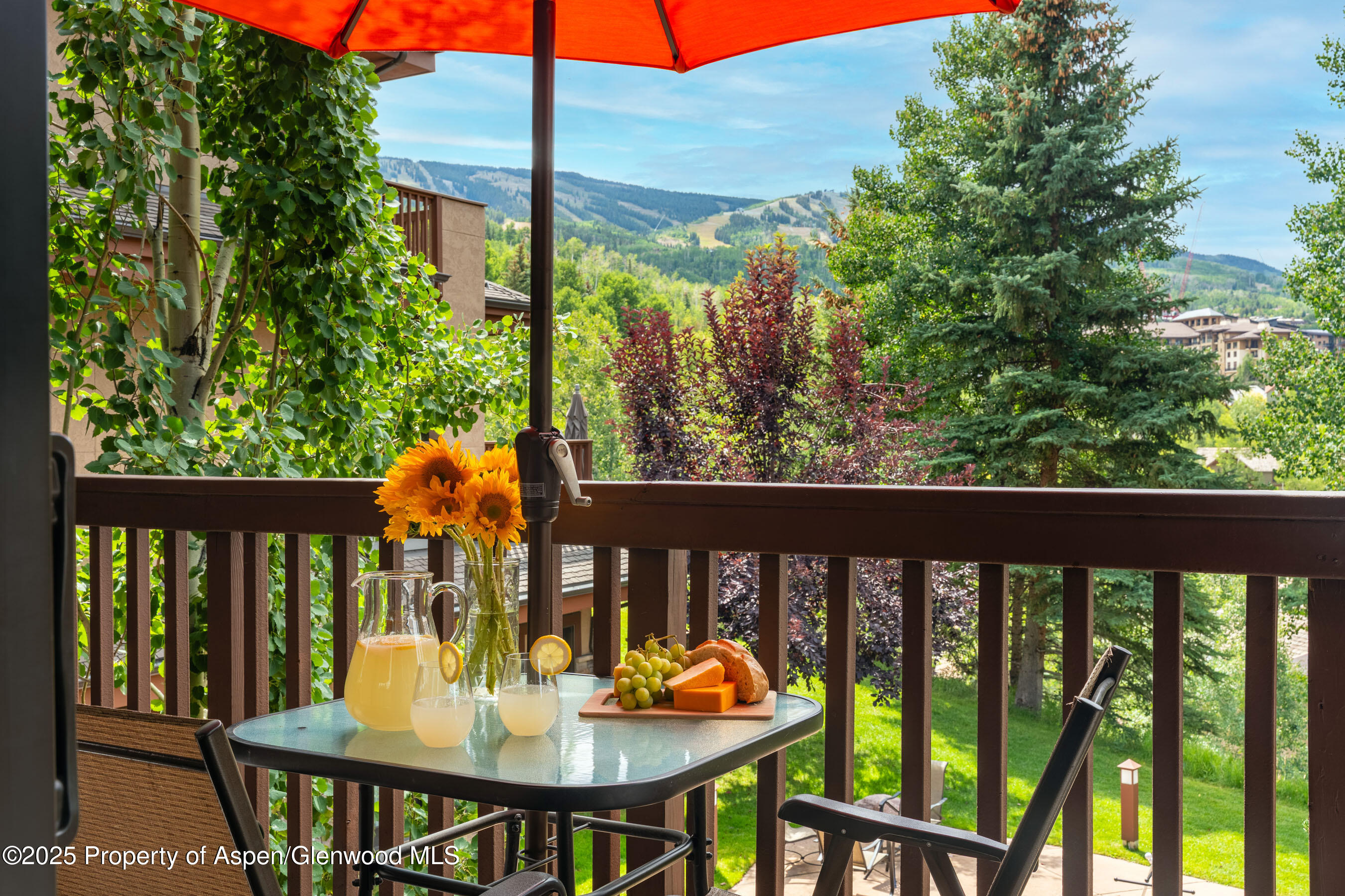 229 Faraway Road, Unit 28 Snowmass Village, CO 81615 - Photo 16 of 25 a view of a two chairs and table in patio