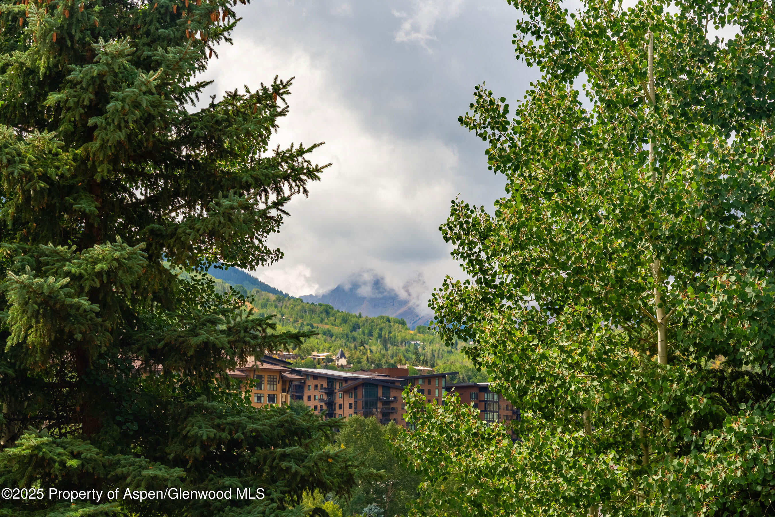 229 Faraway Road, Unit 28 Snowmass Village, CO 81615 - Photo 18 of 25 a view of a house with a tree