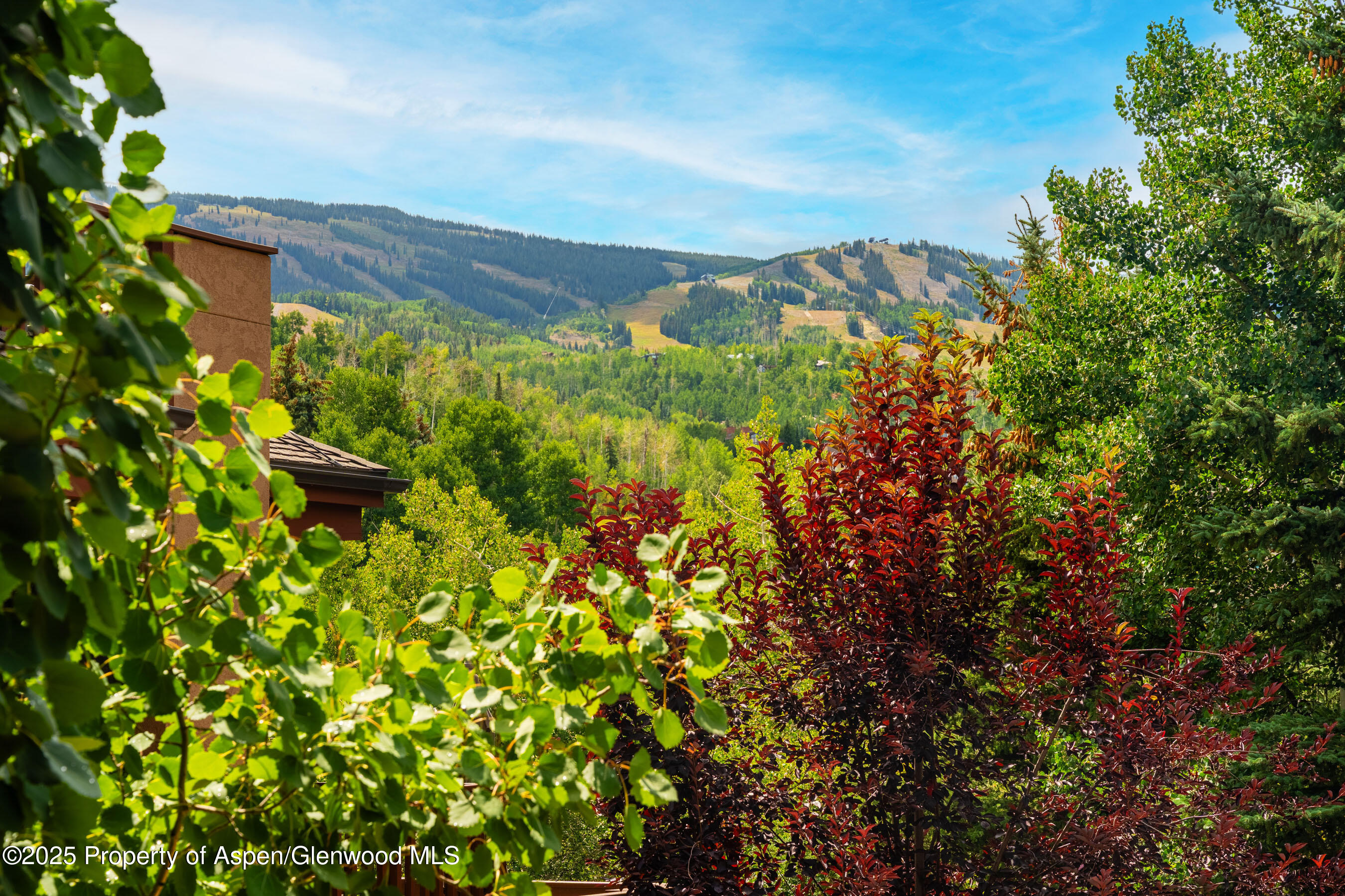 229 Faraway Road, Unit 28 Snowmass Village, CO 81615 - Photo 19 of 25 a view of a garden