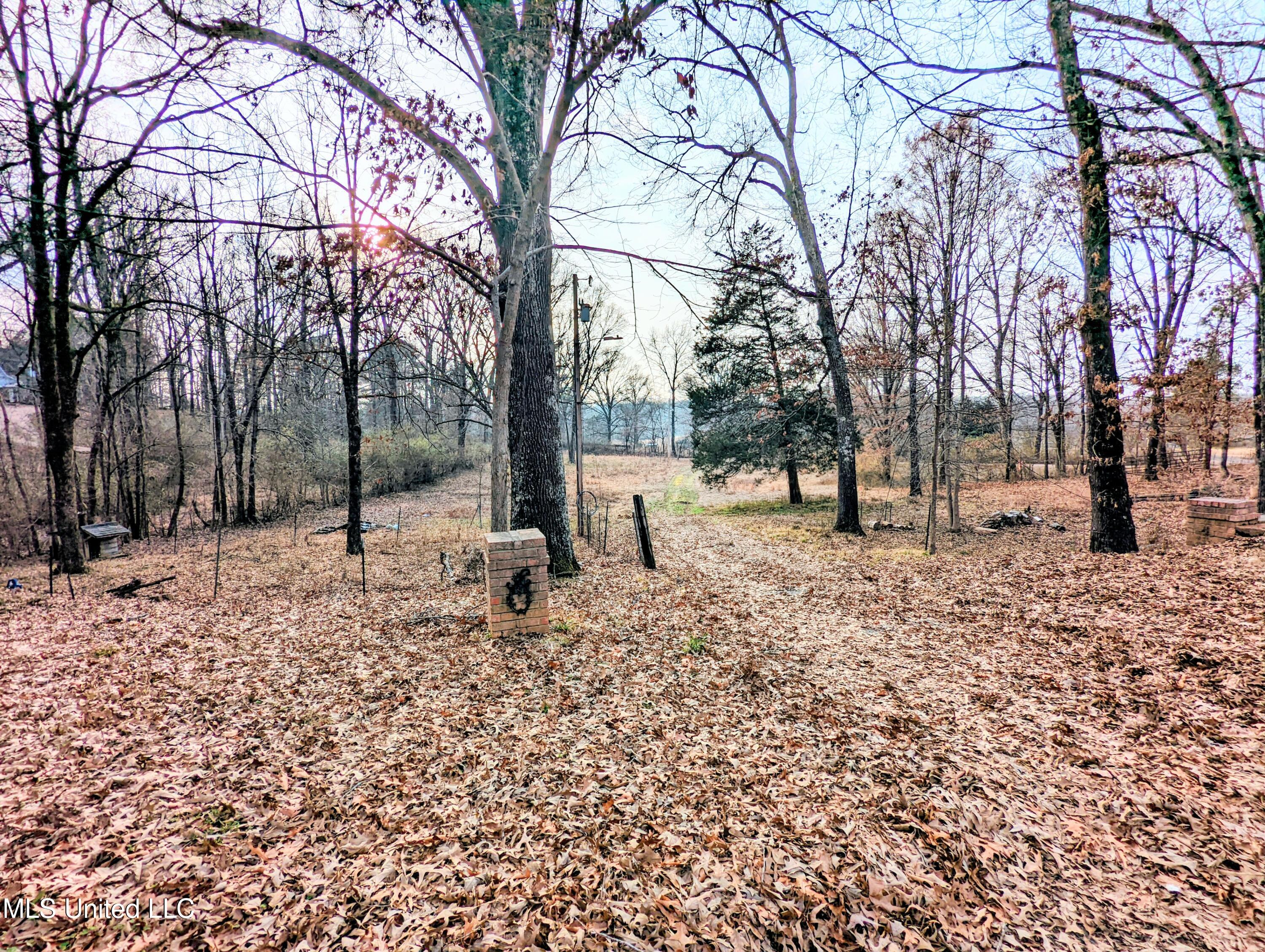 237 Highway 51 Hernando, MS 38632 - Photo 49 of 51 237 Hwy 51 S 51