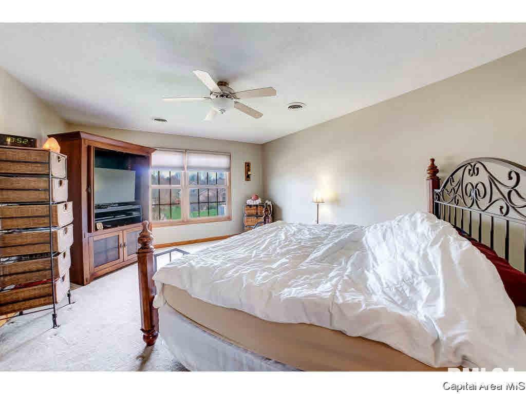 1116 Bridle Path Lane Springfield, IL 62712 - Photo 20 of 35