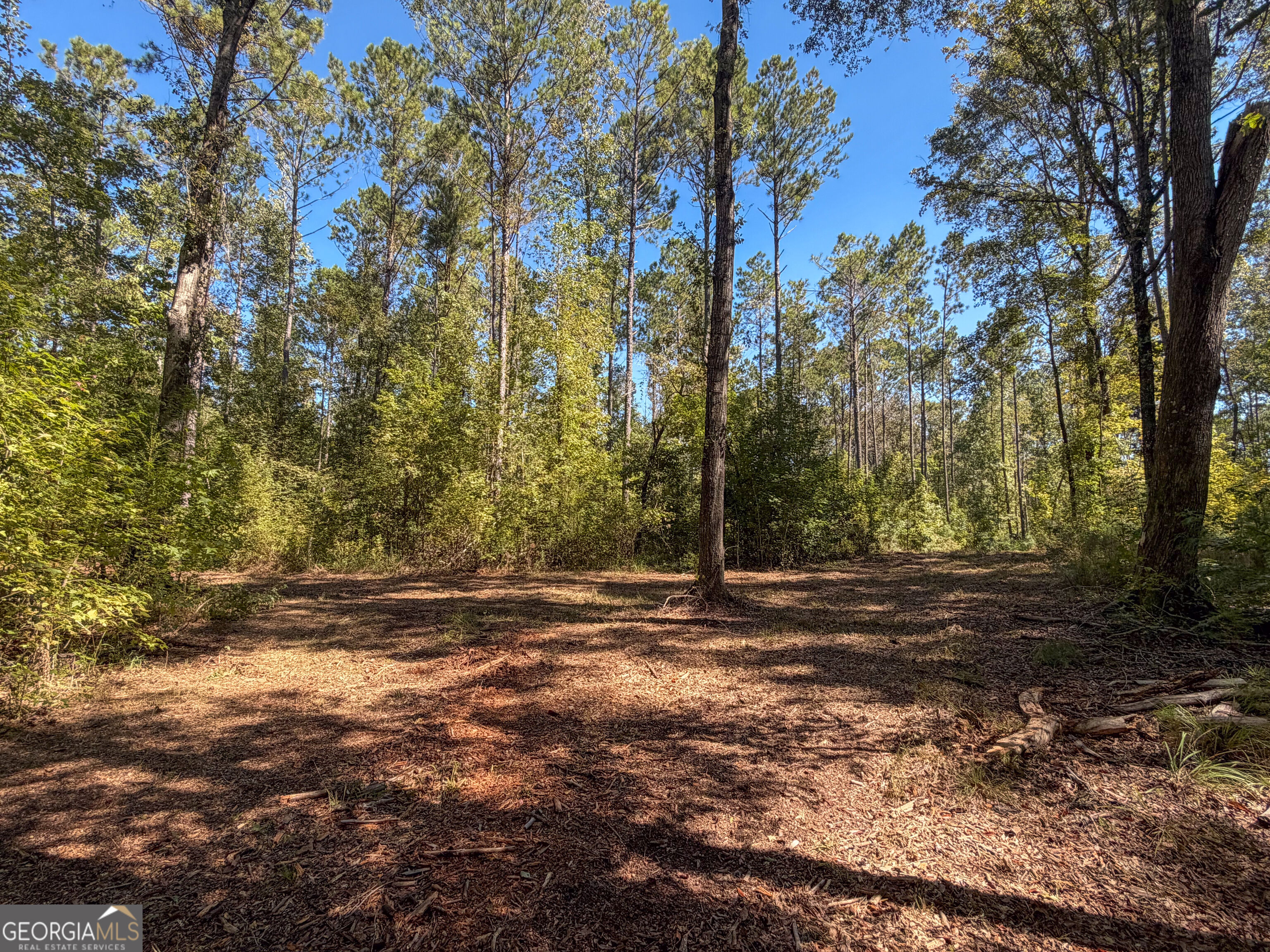 0 Buckrun Road Talbotton, GA 31827 - Photo 14 of 20 Gallery Image 14
