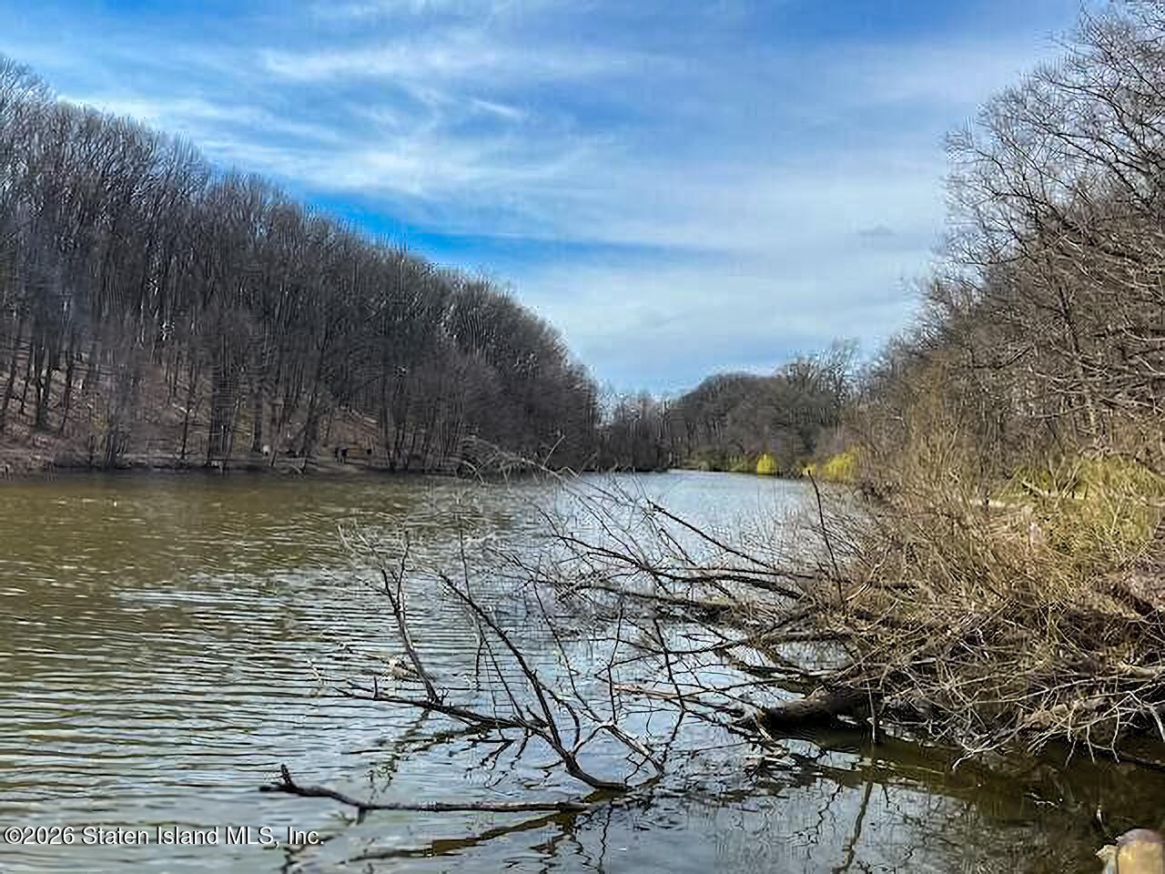 1000 Clove Road, Unit 10E Staten Island, NY 10301 - Photo 17 of 21 Clove Lake Pond