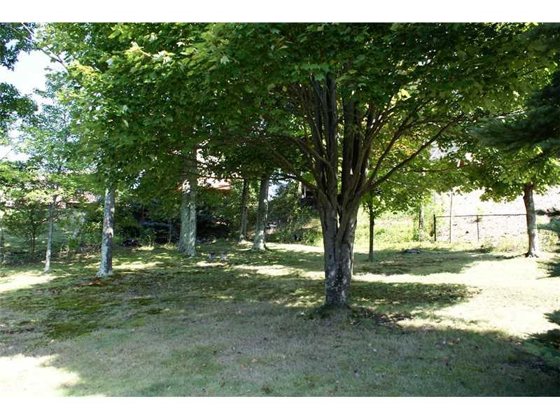231 Seavey Road Pittsburgh, PA 15223 - Photo 14 of 14 Yard/Garden. Another view of the yard.