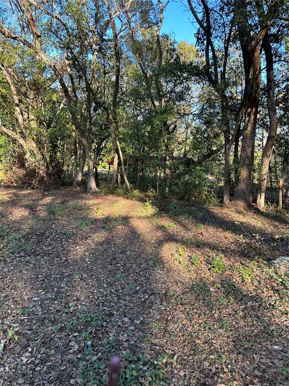 10141 Connerly Road Dade City, FL 33525 - Photo 7 of 12 Gallery Image 7