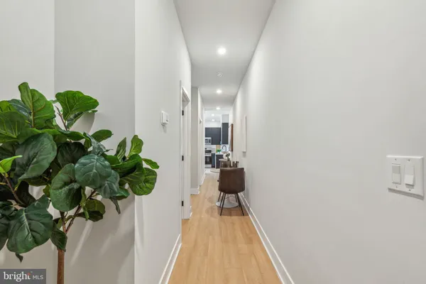 a view of a hallway with a potted plant