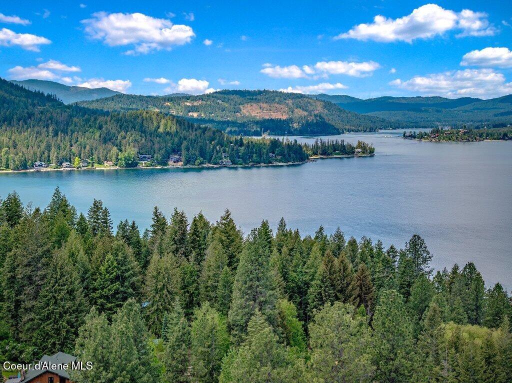 16 Hawkins Road Sagle, ID 83860 - Photo 91 of 110 --91.jpg-SMALL