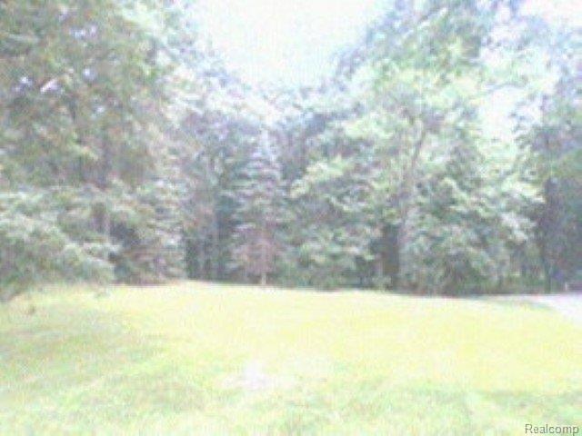 IMG_2401 (Small).JPG