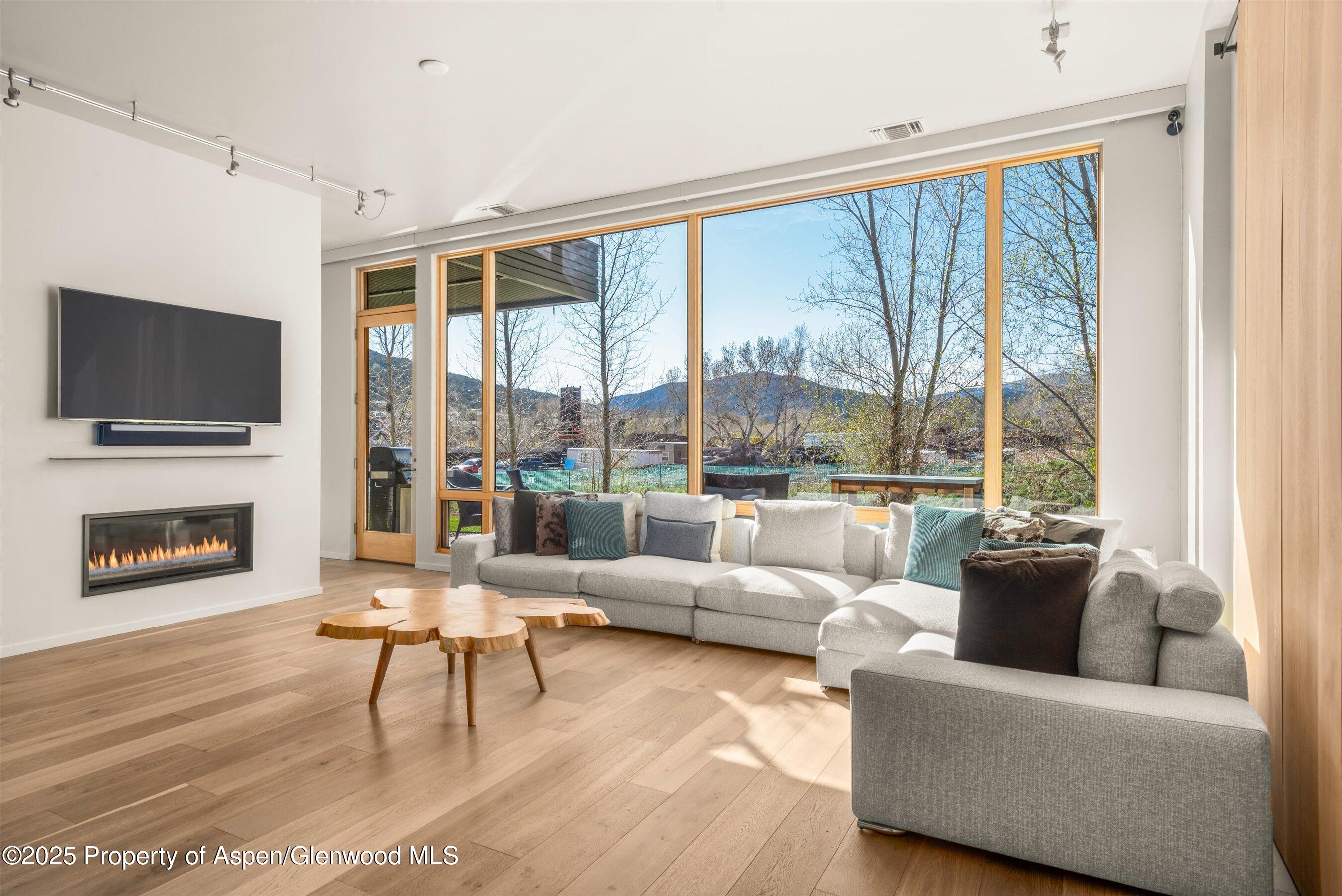 104 Evans Road, Unit 105 Basalt, CO 81621 - Photo 4 of 23 a living room with fireplace furniture and a flat screen tv