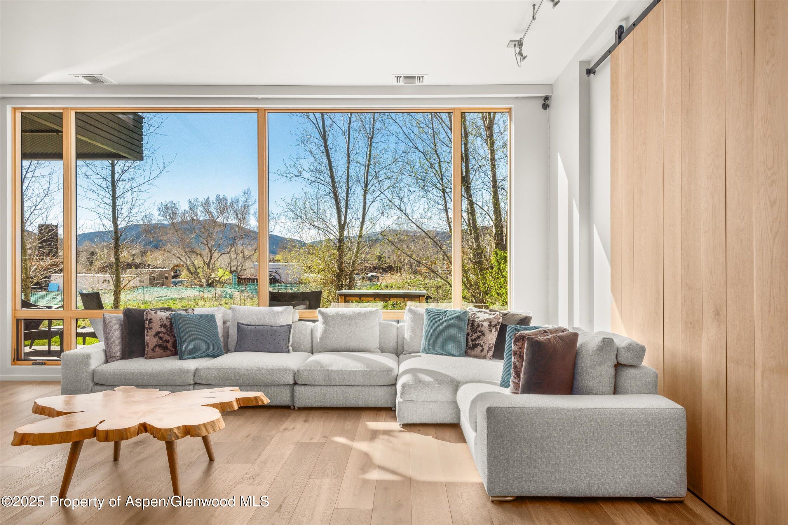 104 Evans Road, Unit 105 Basalt, CO 81621 - Photo 5 of 23 a living room with furniture and a large window