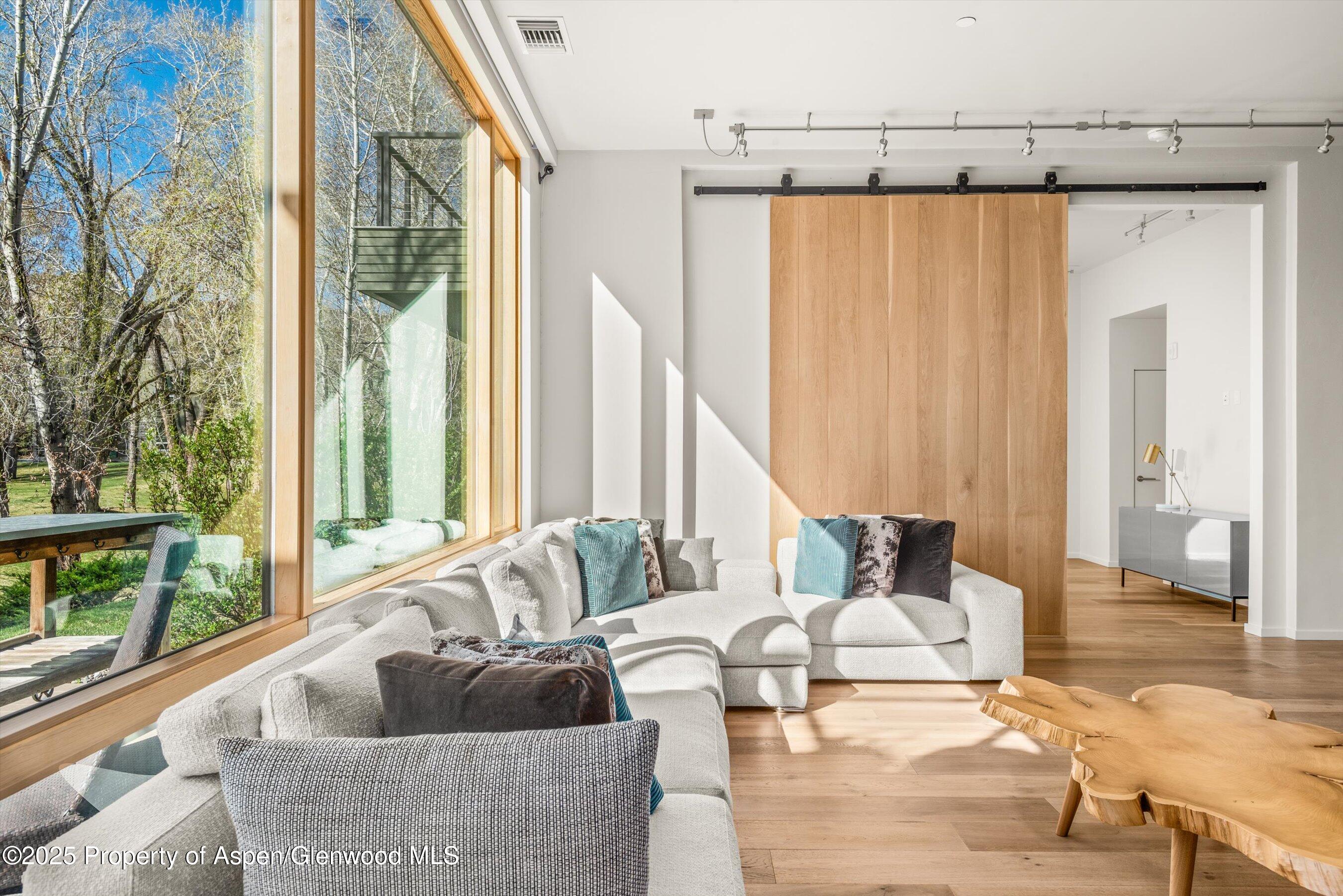 104 Evans Road, Unit 105 Basalt, CO 81621 - Photo 6 of 23 a living room with furniture and a large window