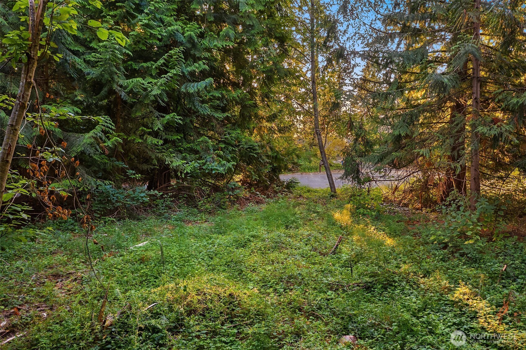 107 133rd Street Southwest Vashon, WA 98070 - Photo 1 of 10