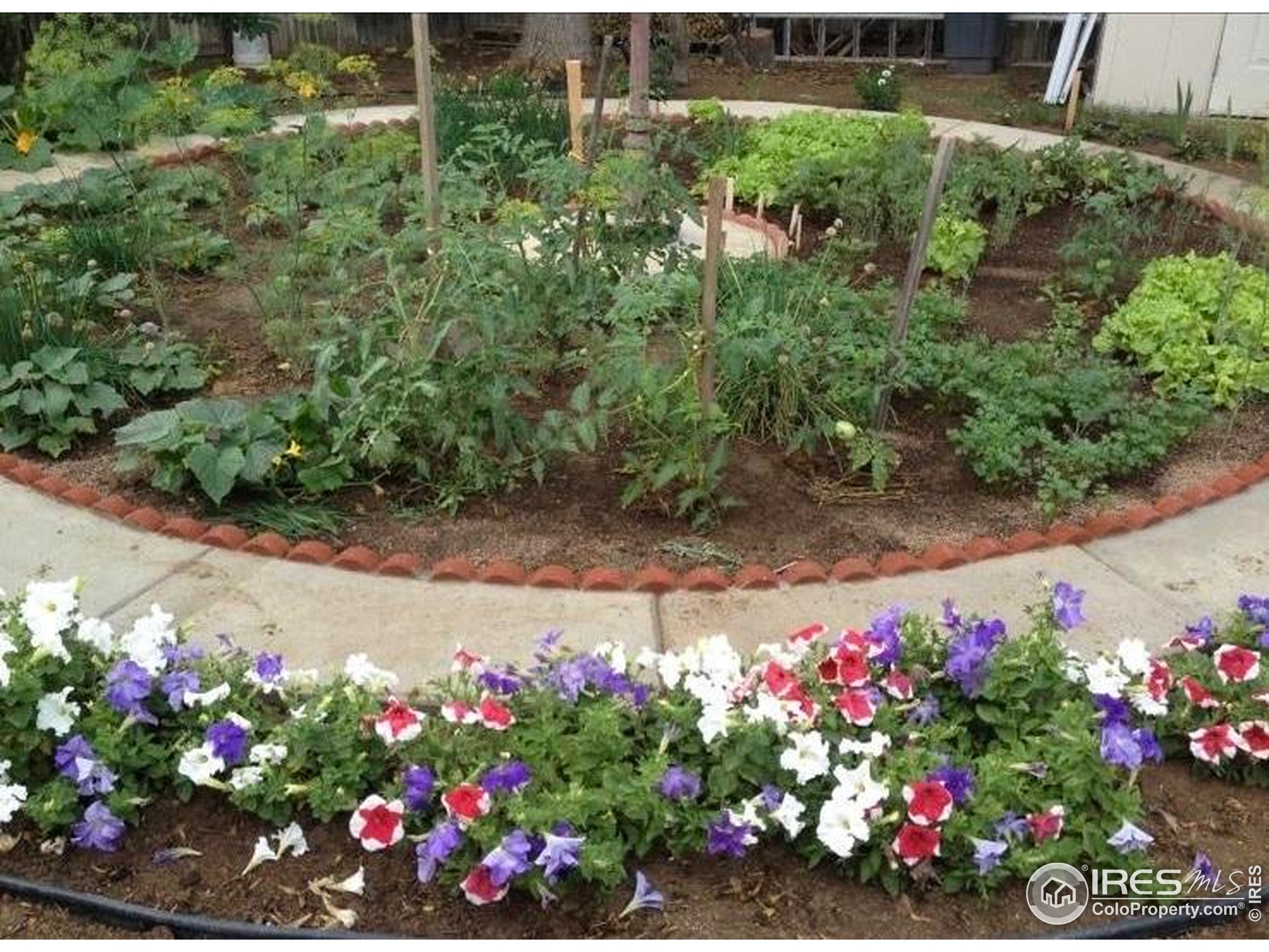 7624 Gray Way Arvada, CO 80003 - Photo 37 of 39