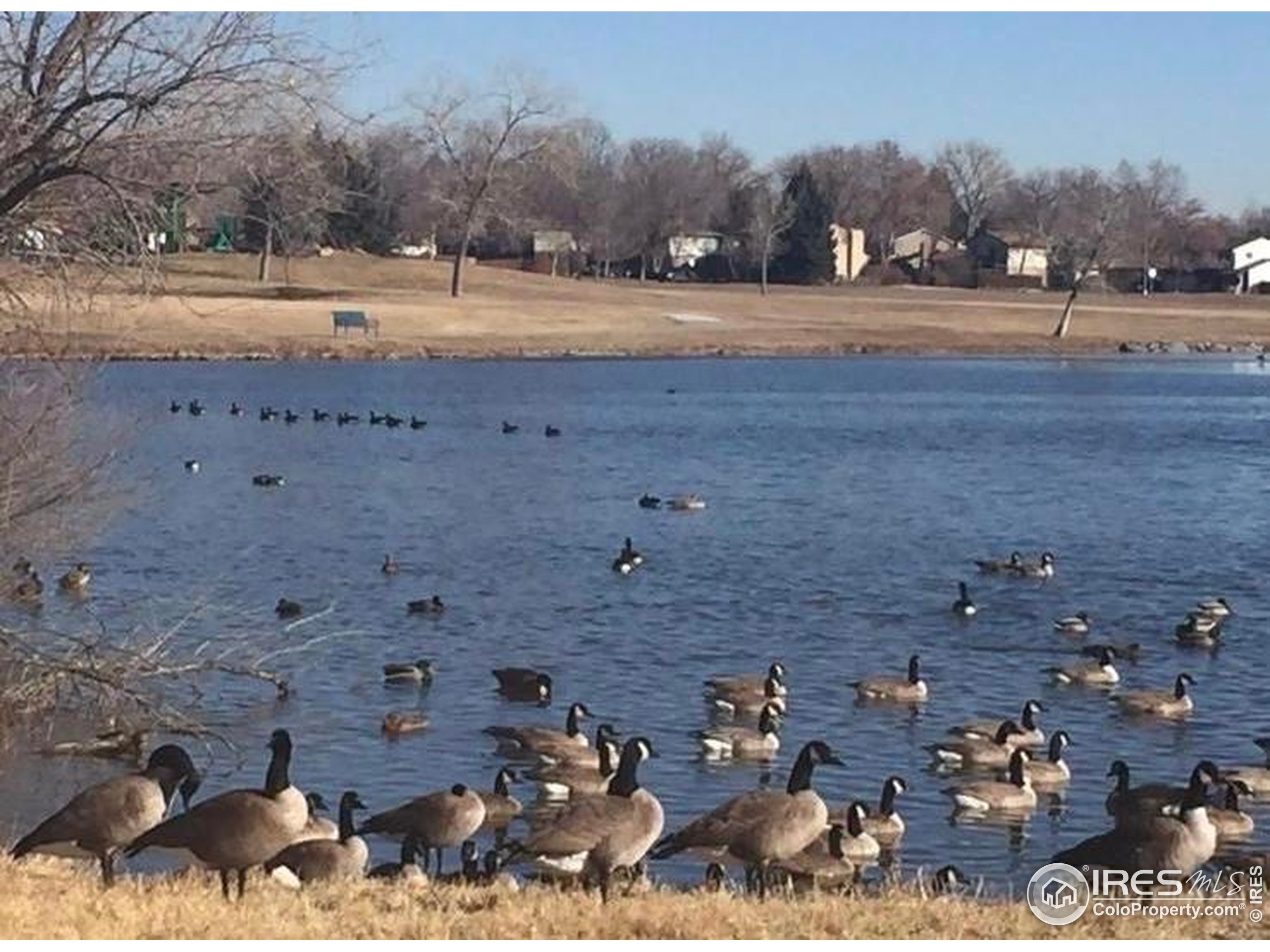 7624 Gray Way Arvada, CO 80003 - Photo 39 of 39