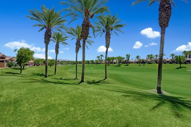 a view of a park with palm trees