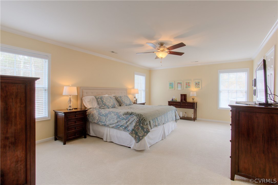 14307 Wallingham Loop Midlothian, VA 23114 - Photo 15 of 26 Gallery Image 15