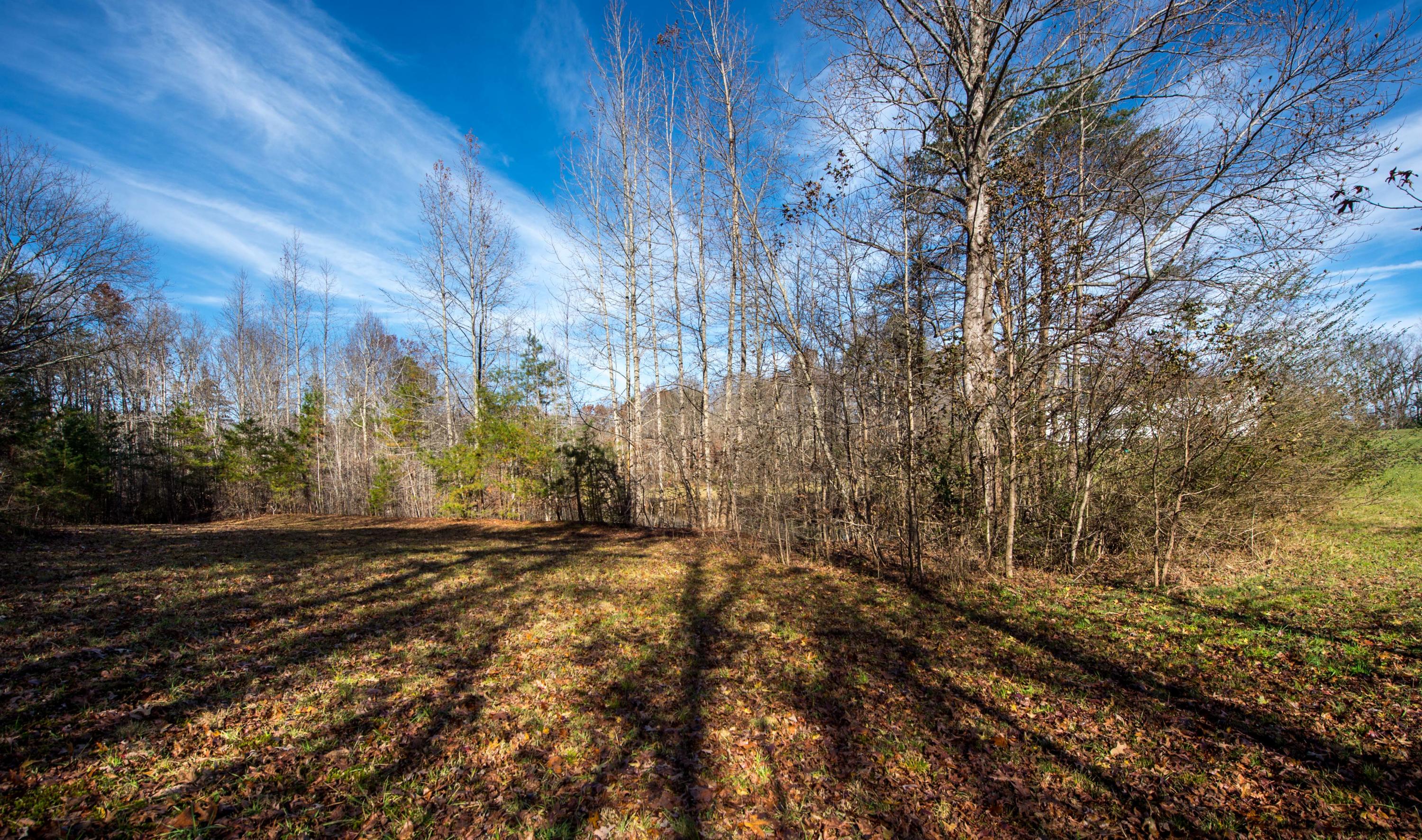 2216 Poe Road Soddy Daisy, TN 37379 - Photo 34 of 52 _MG10336