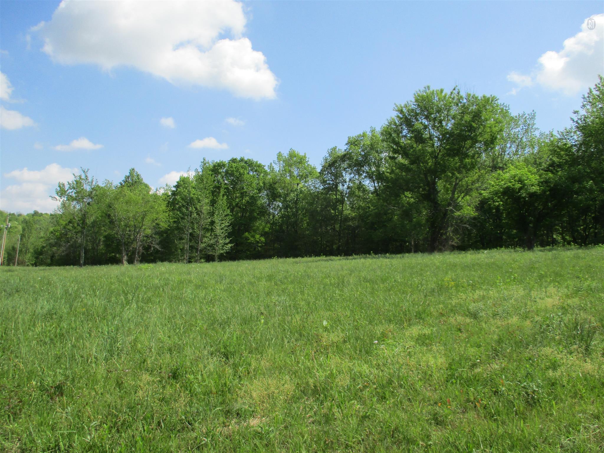 0 Mannin Road Leoma, TN 38468 - Photo 1 of 7 Gallery Image 1