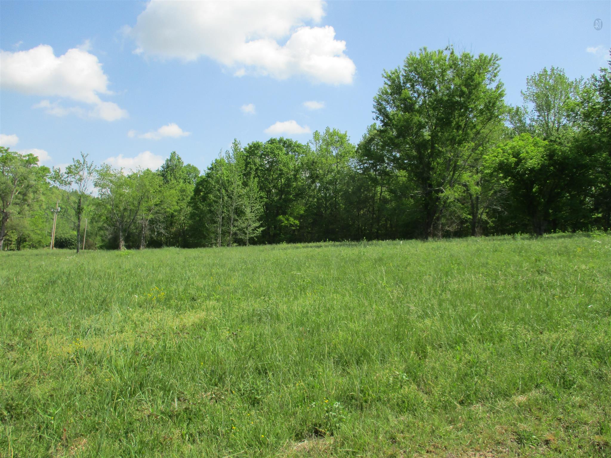 0 Mannin Road Leoma, TN 38468 - Photo 2 of 7 Gallery Image 2