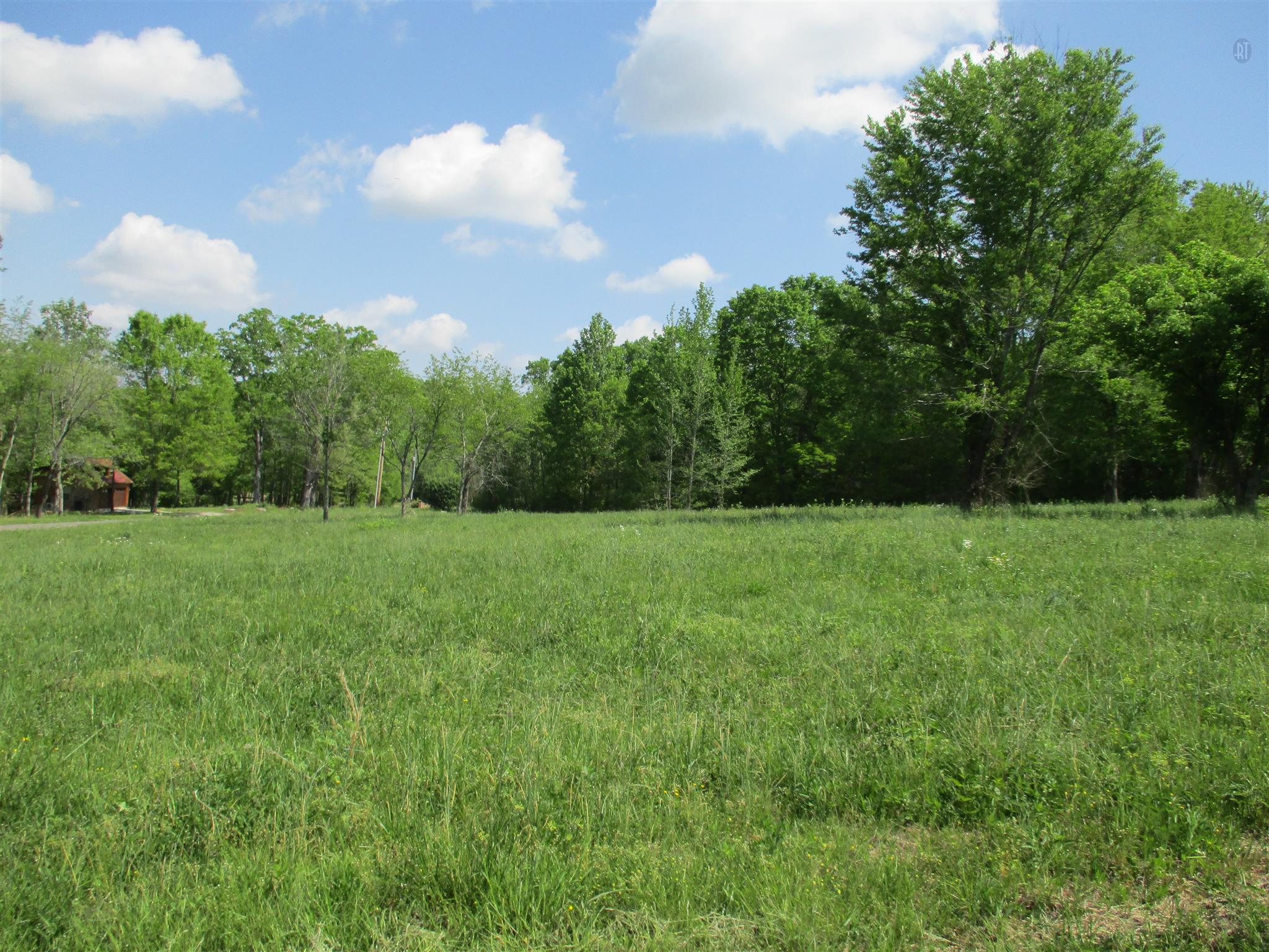 0 Mannin Road Leoma, TN 38468 - Photo 3 of 7 Gallery Image 3