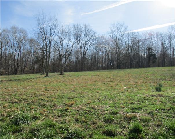 0 Mannin Road Leoma, TN 38468 - Photo 4 of 7 Gallery Image 4