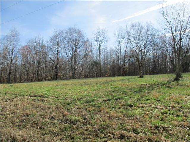 0 Mannin Road Leoma, TN 38468 - Photo 6 of 7 Gallery Image 6