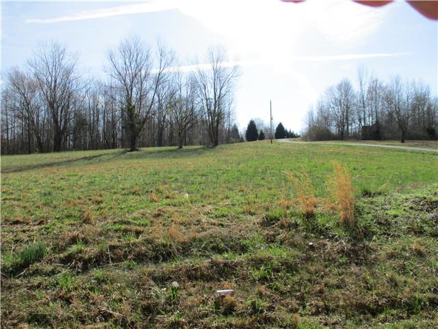 0 Mannin Road Leoma, TN 38468 - Photo 7 of 7 Gallery Image 7