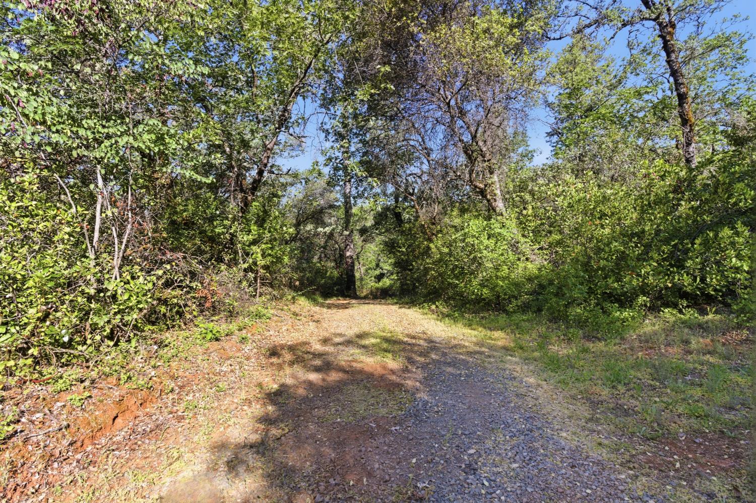 16429 Vierra Road Rackerby, CA 95972 - Photo 8 of 18