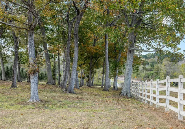 a backyard of a house with lots of trees