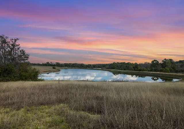 a view of lake with green space