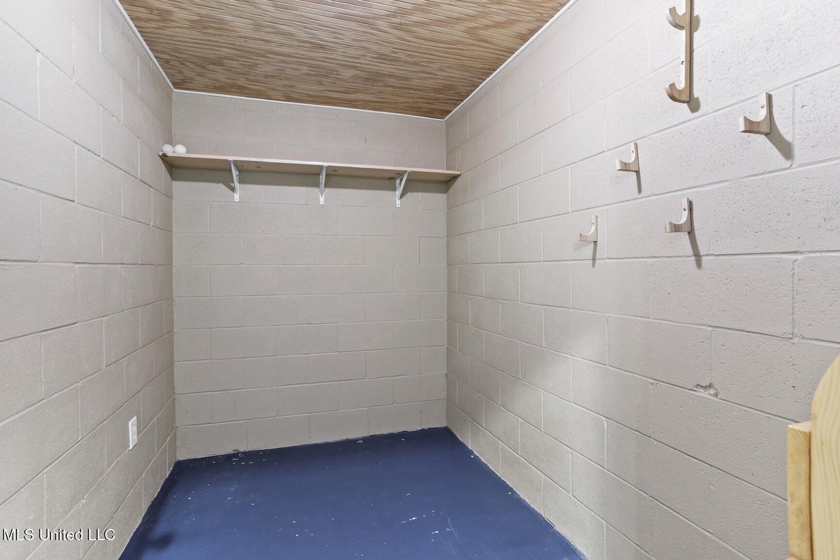 191 North Brandon Boulevard Brandon, MS 39042 - Photo 32 of 62 Safe room - primary suite