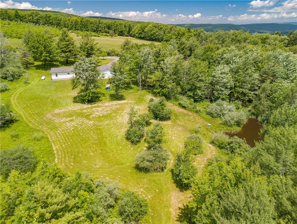 1970 Hornby Road Orange, NY 14812 - Photo 9 of 38