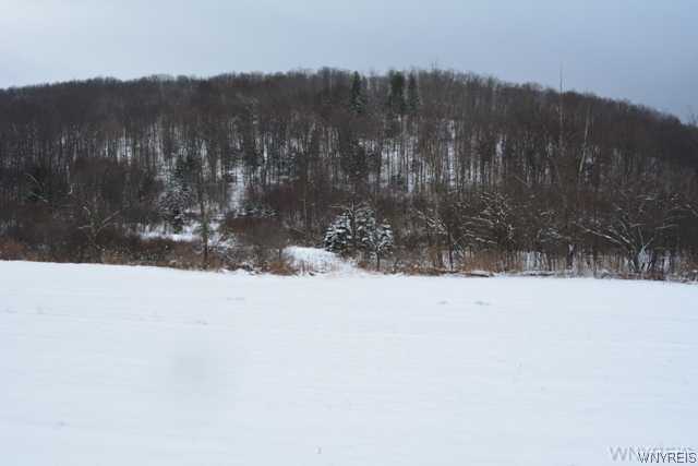 Land/Lot