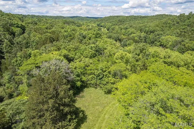 $550,000 | 23201 Private Drive, Duke, MO 65461