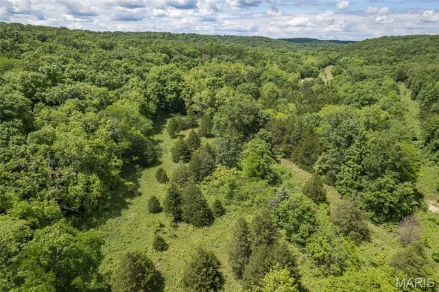 $550,000 | 23201 Private Drive, Duke, MO 65461